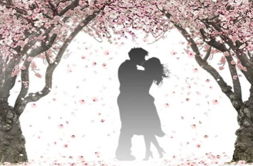 Sei cose che accadono quando una donna è innamorata del suo compagno