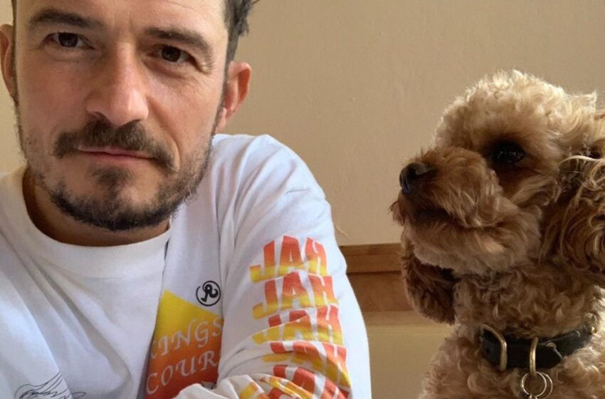  Orlando Bloom perde il cane e si tatua il suo nome sul cuore
