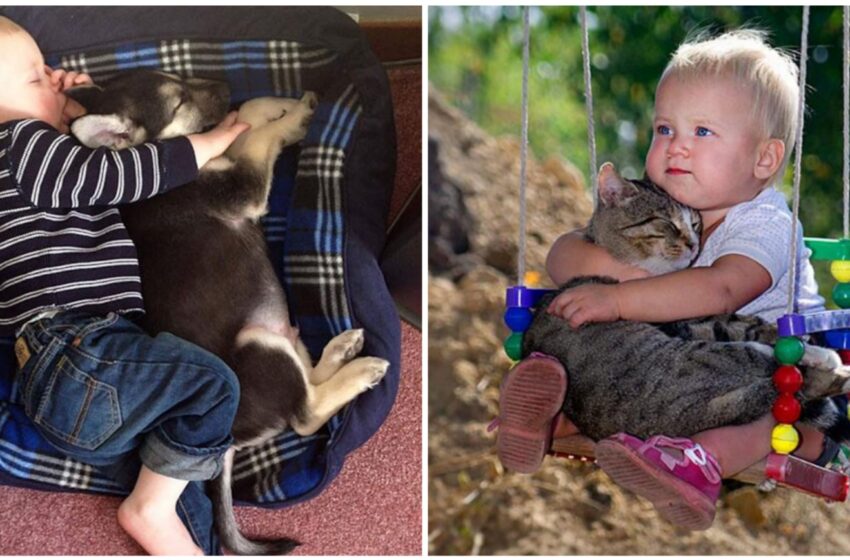 Le foto che dimostrano che ogni bimbo avrebbe bisogno di un animale domestico