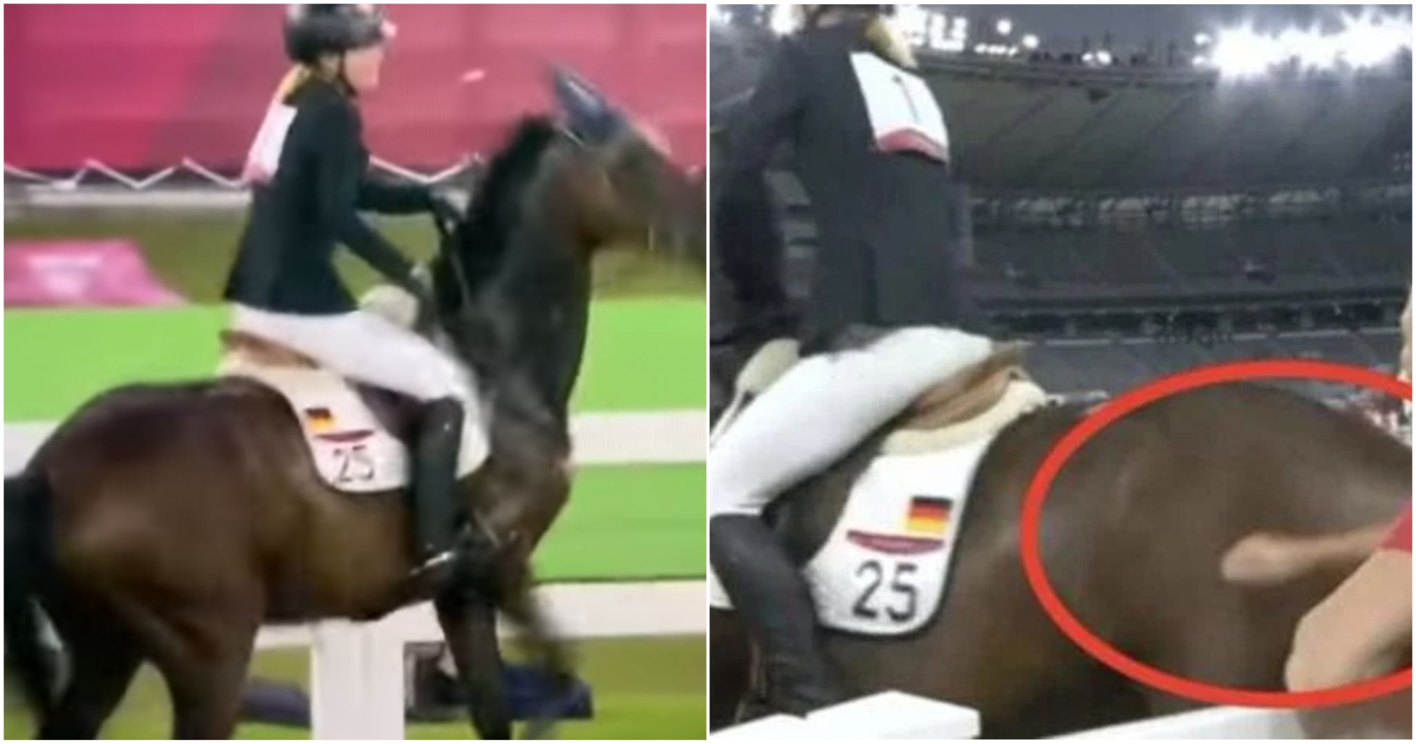 Si Usano Per Guidare Il Cavallo