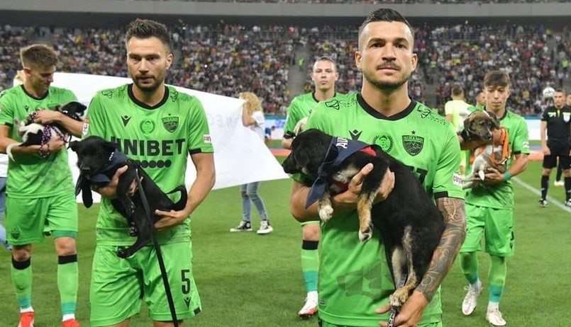  Romania, giocatori di Serie A in campo coi cani randagi per favorire le adozioni