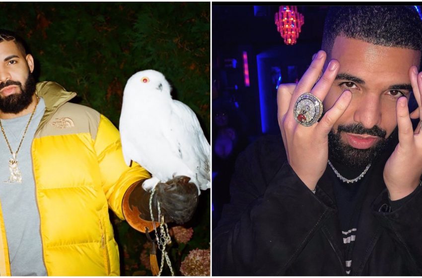 “Drake ha messo la salsa piccante nel preservativo per evitare furto di sp*rma”