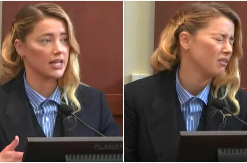  L’avvocatessa di Amber Heard: “Non è in grado di pagare il risarcimento a Depp”